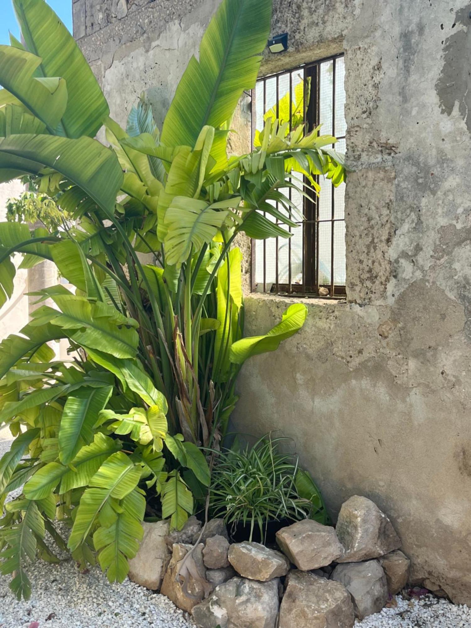U Pantanu Apartment Syracuse Exterior foto